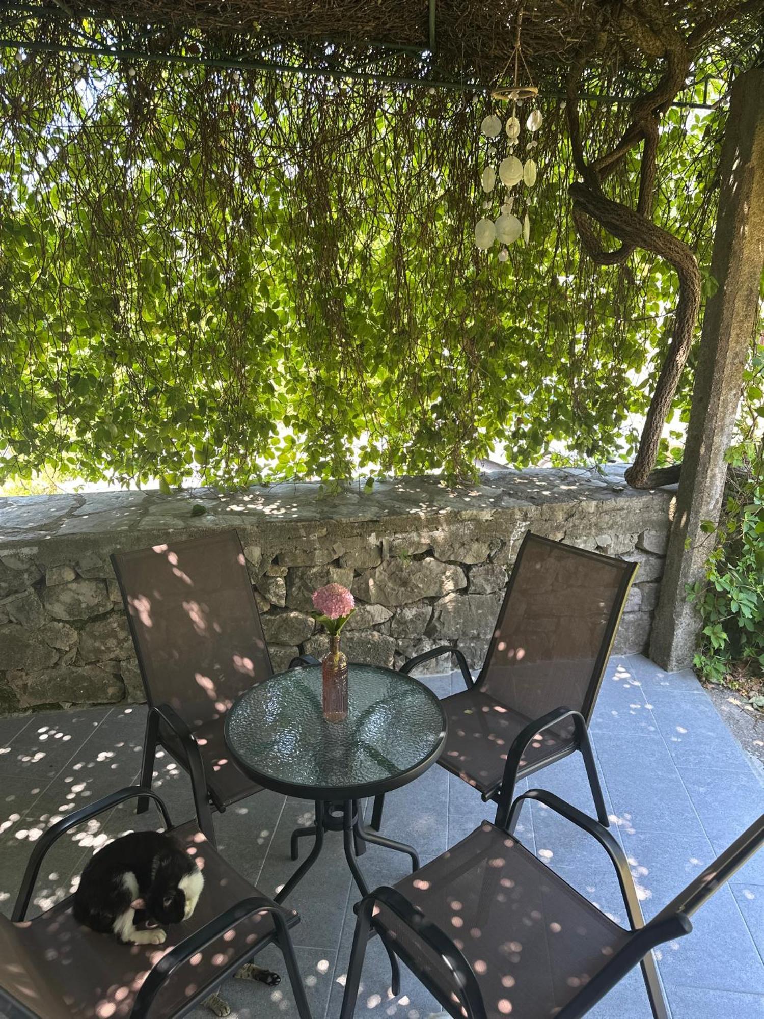 Etno Village Mihailovic Iii Daire *